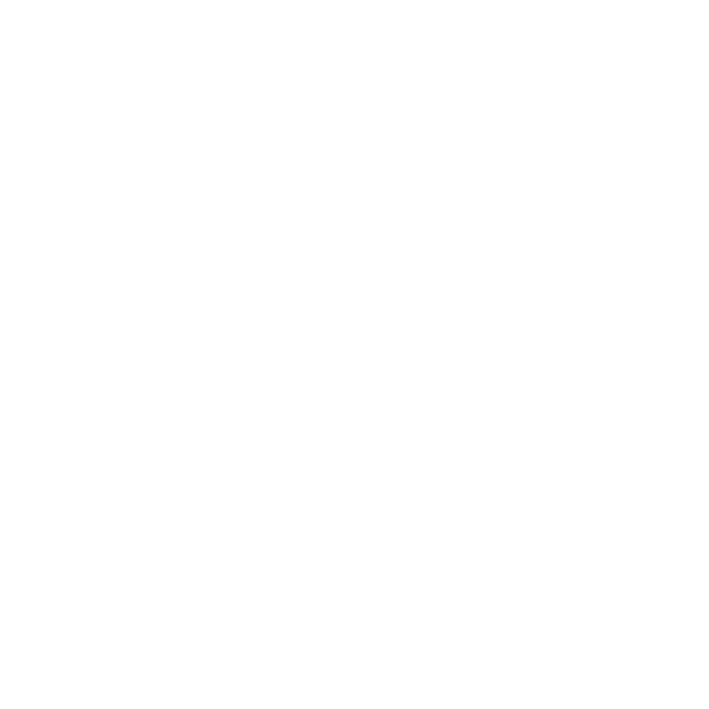 Synthonyx Logo